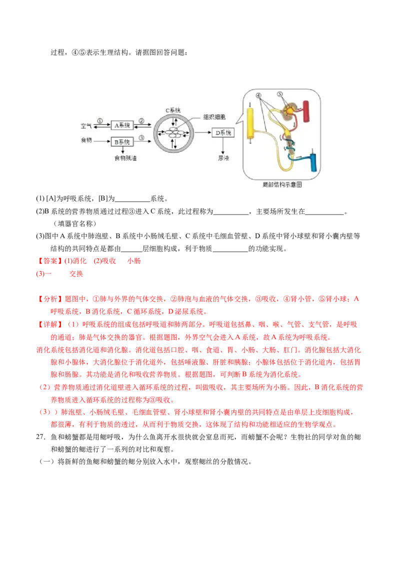 生物（深圳卷）（全解全析）_初中全科电子版试卷练习试题_生物_2024中考模拟题生物(1)_二模_生物（深圳卷）-：2024年中考第二次模拟考试