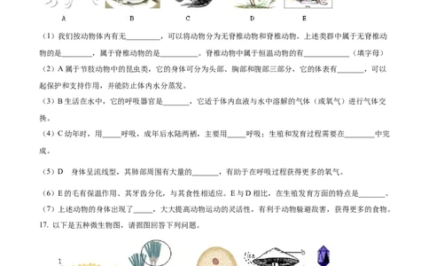 八年级上学期期中联考生物试题（原卷版）_初中全科电子版试卷练习试题_生物_生物8上练习_人教生物8年级上期中试卷08份