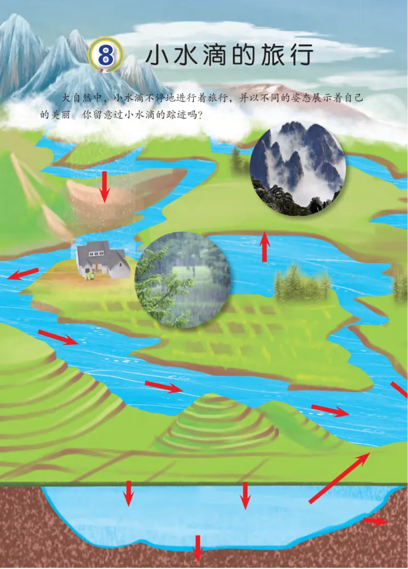 05六制五上科学_电子课本_小学电子课本_05科学_青岛版（63、54版）_小学科学青岛六三制1-6上册