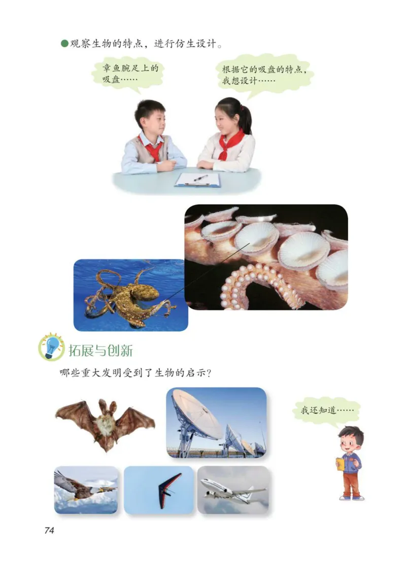 05六制五上科学_电子课本_小学电子课本_05科学_青岛版（63、54版）_小学科学青岛六三制1-6上册