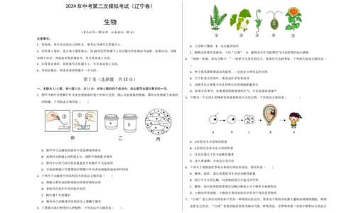 生物（辽宁卷）（考试版A3）_初中全科电子版试卷练习试题_生物_2024中考模拟题生物(1)_二模_生物（辽宁卷）-：2024年中考第二次模拟考试