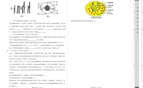 生物（辽宁卷）（考试版A3）_初中全科电子版试卷练习试题_生物_2024中考模拟题生物(1)_二模_生物（辽宁卷）-：2024年中考第二次模拟考试