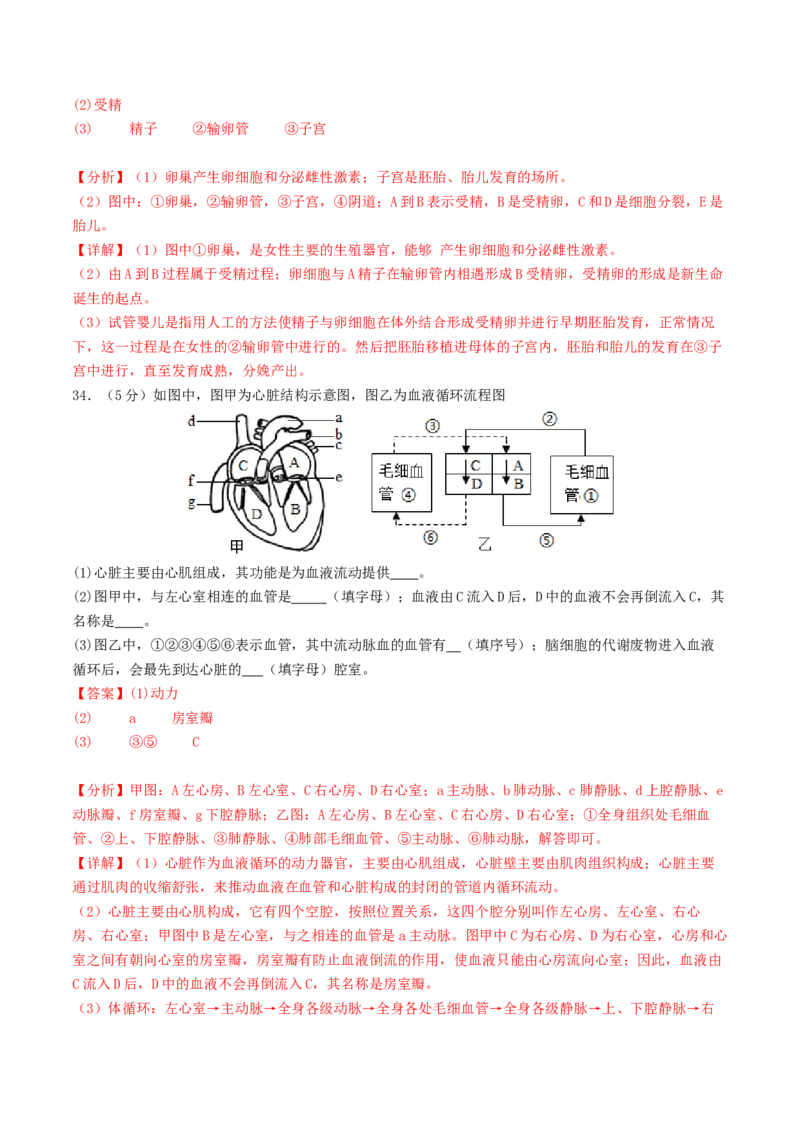 生物（云南卷）（全解全析）_初中全科电子版试卷练习试题_生物_2024中考模拟题生物(1)_二模_生物（云南卷）-：2024年中考第二次模拟考试