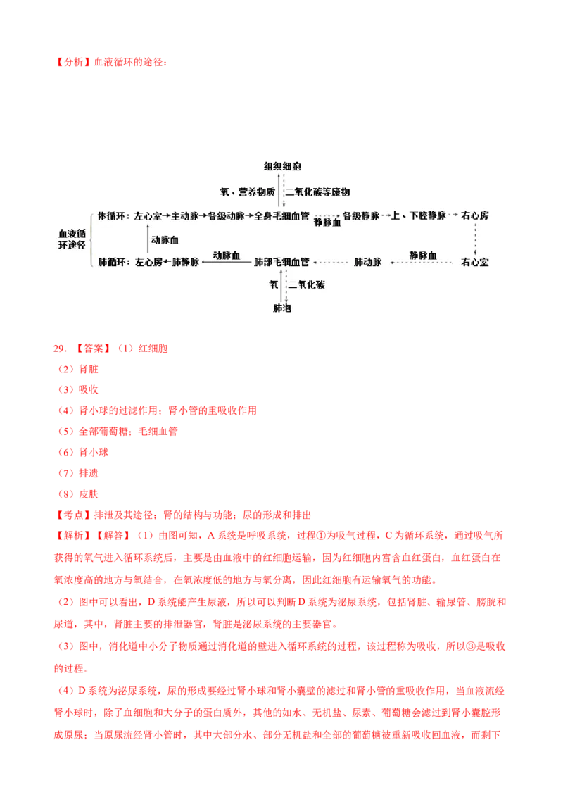 期末冲刺卷02-（人教版）（解析版）_初中全科电子版试卷练习试题_生物_生物人教版7下练习_人教生物7年级下期末试卷11份