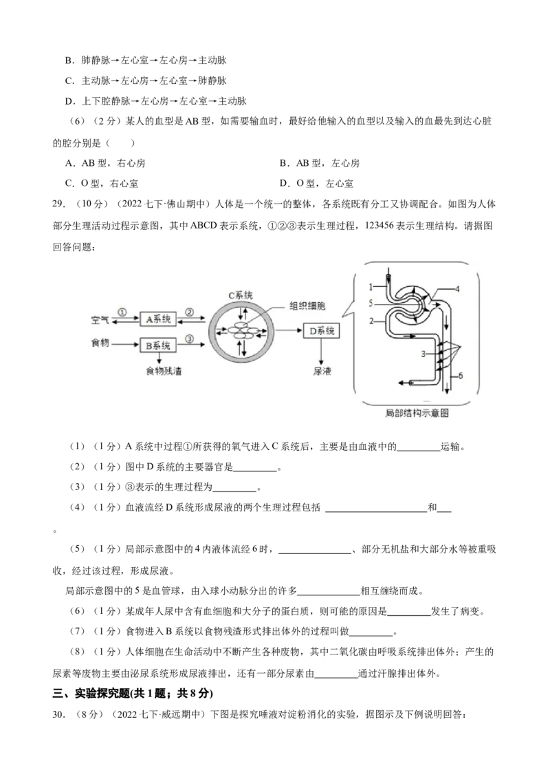 期末冲刺卷02-（人教版）（解析版）_初中全科电子版试卷练习试题_生物_生物人教版7下练习_人教生物7年级下期末试卷11份