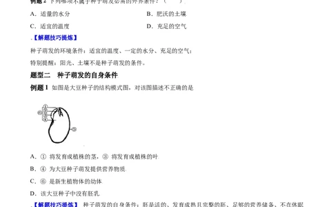 必考点16种子的萌发-（人教版）（原卷版）_初中全科电子版试卷练习试题_生物_生物人教版7上练习&mdash;24新版已更新_人教生物7年级上专项练习28份