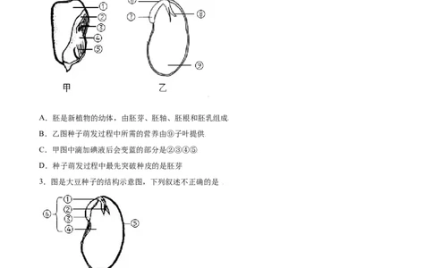 必考点16种子的萌发-（人教版）（原卷版）_初中全科电子版试卷练习试题_生物_生物人教版7上练习&mdash;24新版已更新_人教生物7年级上专项练习28份