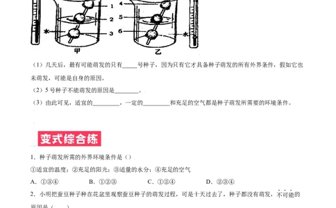 必考点16种子的萌发-（人教版）（原卷版）_初中全科电子版试卷练习试题_生物_生物人教版7上练习&mdash;24新版已更新_人教生物7年级上专项练习28份