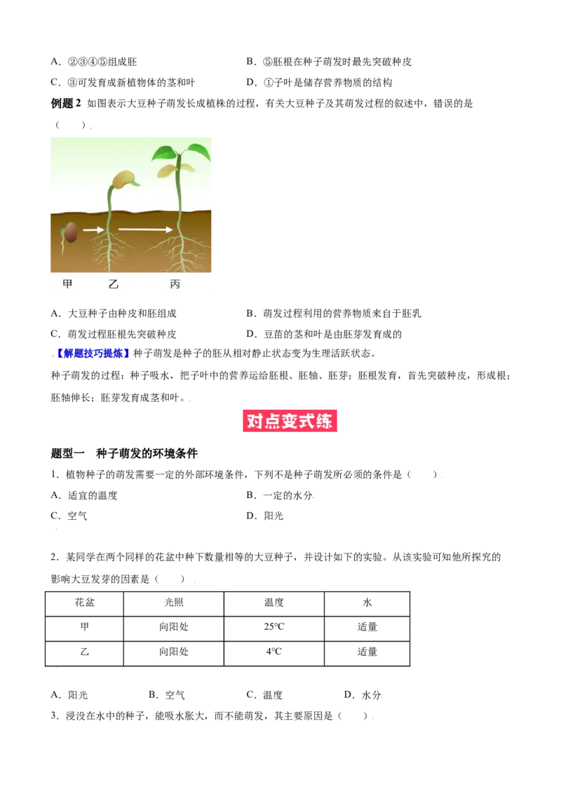 必考点16种子的萌发-（人教版）（原卷版）_初中全科电子版试卷练习试题_生物_生物人教版7上练习&mdash;24新版已更新_人教生物7年级上专项练习28份