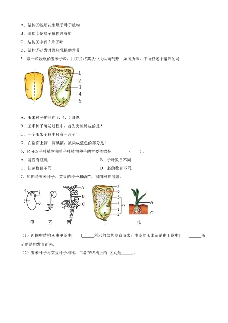 必考点16种子的萌发-（人教版）（原卷版）_初中全科电子版试卷练习试题_生物_生物人教版7上练习&mdash;24新版已更新_人教生物7年级上专项练习28份