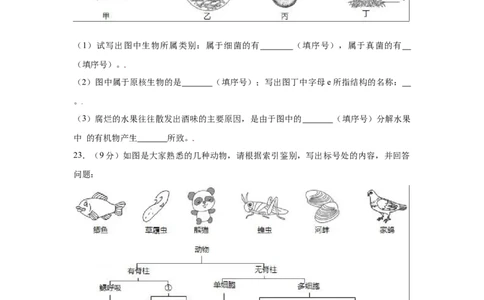 期末冲刺卷04-（人教版）（原卷版）_初中全科电子版试卷练习试题_生物_生物8上练习_人教生物8年级上期末试卷10份
