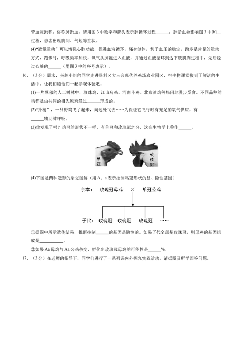 生物（辽宁卷）（考试版A4）_初中全科电子版试卷练习试题_生物_2024中考模拟题生物(1)_二模_生物（辽宁卷）-：2024年中考第二次模拟考试