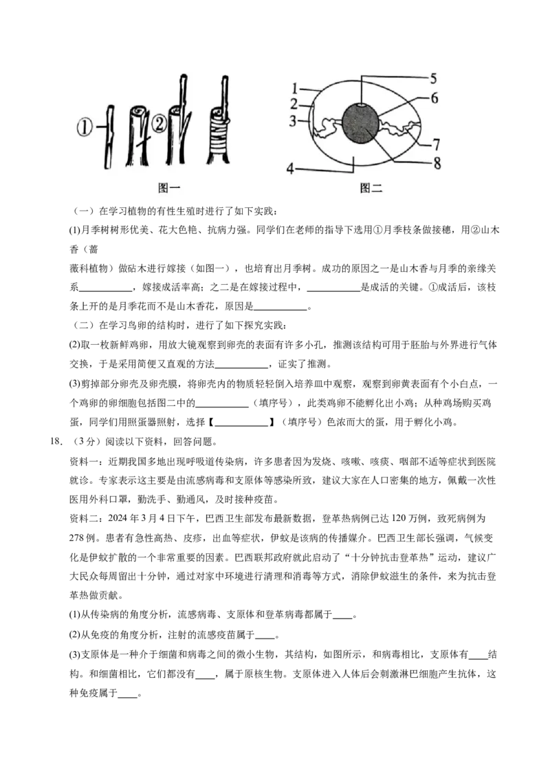 生物（辽宁卷）（考试版A4）_初中全科电子版试卷练习试题_生物_2024中考模拟题生物(1)_二模_生物（辽宁卷）-：2024年中考第二次模拟考试