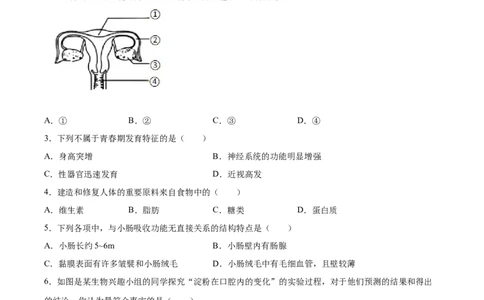 期末押题02-（人教版）（原卷版）_初中全科电子版试卷练习试题_生物_生物人教版7下练习_人教生物7年级下期末试卷11份