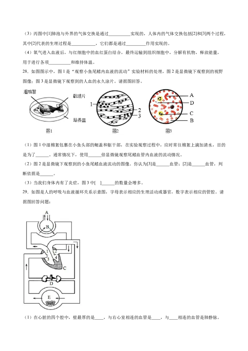 期末押题02-（人教版）（原卷版）_初中全科电子版试卷练习试题_生物_生物人教版7下练习_人教生物7年级下期末试卷11份