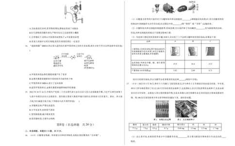 生物（呼和浩特卷）（考试版A3）_初中全科电子版试卷练习试题_生物_2024中考模拟题生物(1)_一模_生物（呼和浩特卷）-2024年中考第一次模拟考试