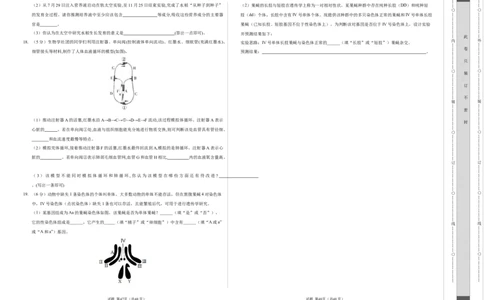 生物（呼和浩特卷）（考试版A3）_初中全科电子版试卷练习试题_生物_2024中考模拟题生物(1)_一模_生物（呼和浩特卷）-2024年中考第一次模拟考试