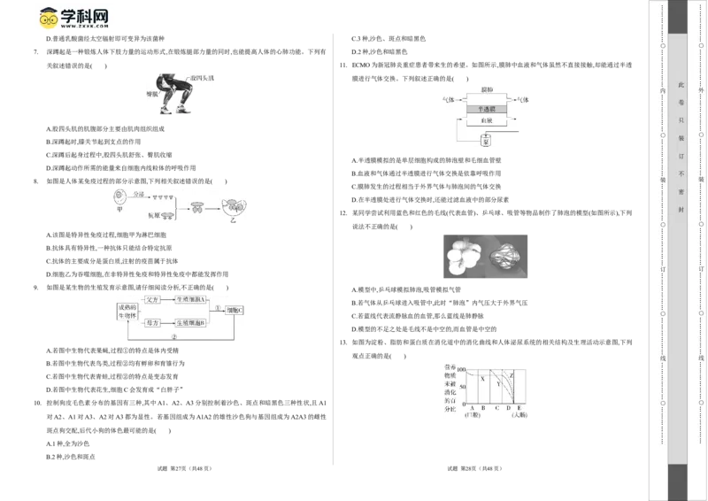 生物（呼和浩特卷）（考试版A3）_初中全科电子版试卷练习试题_生物_2024中考模拟题生物(1)_一模_生物（呼和浩特卷）-2024年中考第一次模拟考试