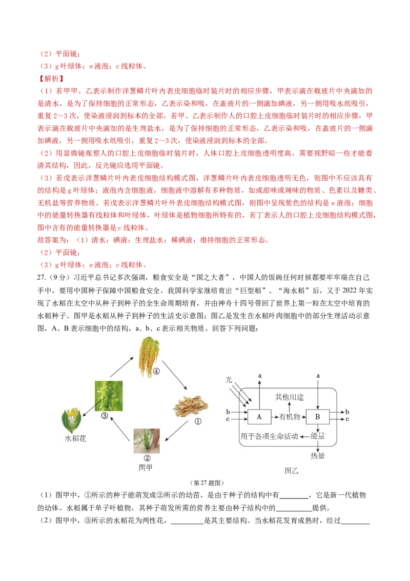 生物（济南卷）（全解全析）_初中全科电子版试卷练习试题_生物_2024中考模拟题生物(1)_三模（37套）_生物（济南卷）
