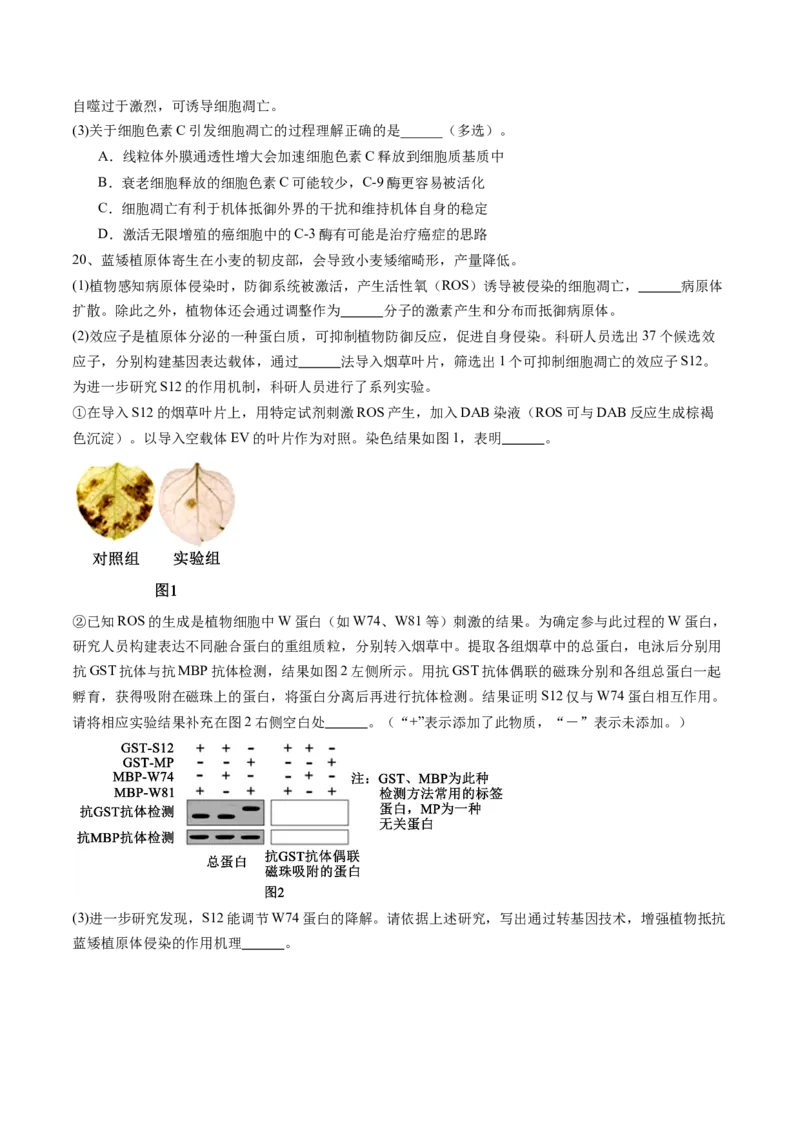 信息必刷卷01（北京专用）（原卷版）_2025年新高考资料_2025考前信息卷_2025年高考生物考前信息必刷卷（北京专用）34427555