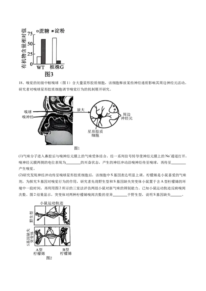 信息必刷卷01（北京专用）（原卷版）_2025年新高考资料_2025考前信息卷_2025年高考生物考前信息必刷卷（北京专用）34427555