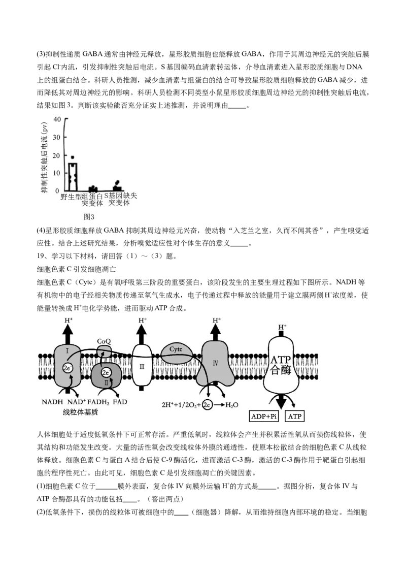 信息必刷卷01（北京专用）（原卷版）_2025年新高考资料_2025考前信息卷_2025年高考生物考前信息必刷卷（北京专用）34427555