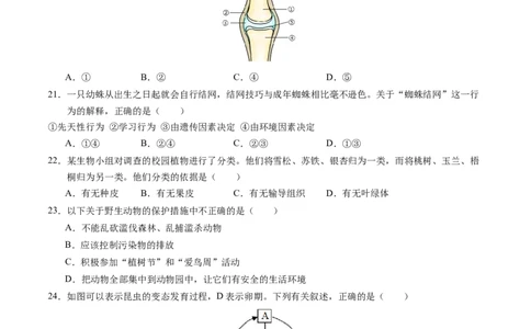 生物（南京卷）（考试版A4）_初中全科电子版试卷练习试题_生物_2024中考模拟题生物(1)_一模_生物（南京卷）-2024年中考第一次模拟考试