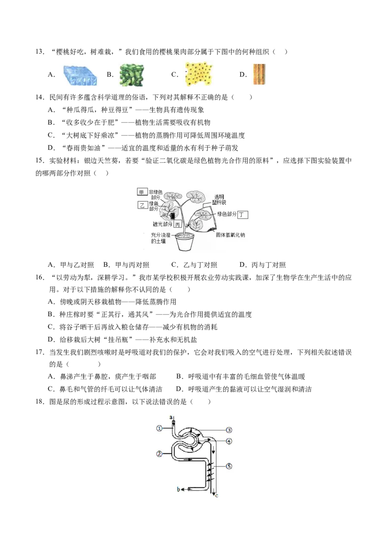 生物（南京卷）（考试版A4）_初中全科电子版试卷练习试题_生物_2024中考模拟题生物(1)_一模_生物（南京卷）-2024年中考第一次模拟考试
