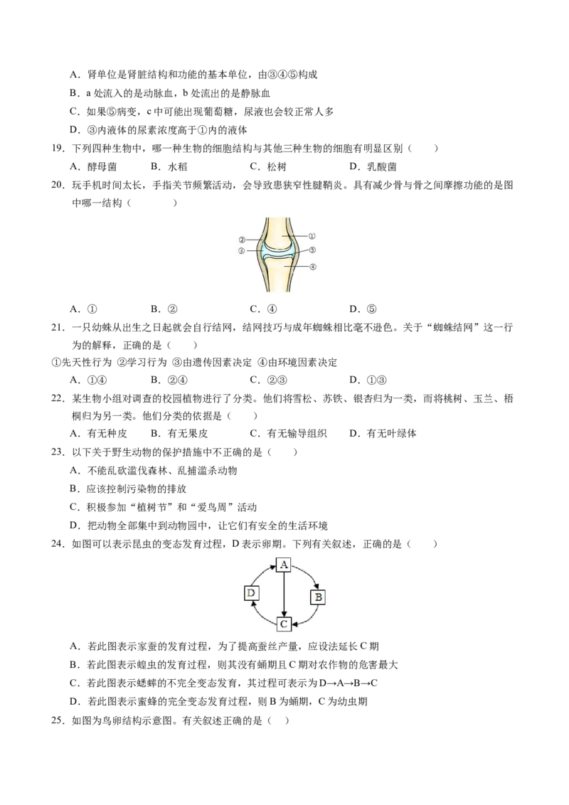 生物（南京卷）（考试版A4）_初中全科电子版试卷练习试题_生物_2024中考模拟题生物(1)_一模_生物（南京卷）-2024年中考第一次模拟考试