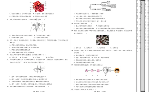 生物（泰州卷）（考试版A3）_初中全科电子版试卷练习试题_生物_2024中考模拟题生物(1)_二模_生物（泰州卷）-：2024年中考第二次模拟考试