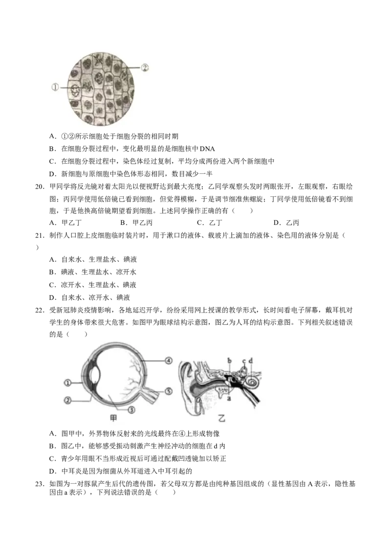 生物（全国卷）（考试版A4）_初中全科电子版试卷练习试题_生物_2024中考模拟题生物(1)_三模（37套）_生物（全国卷）