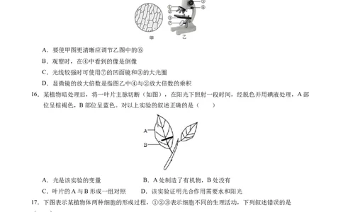 生物（无锡卷）（考试版A4）_初中全科电子版试卷练习试题_生物_2024中考模拟题生物(1)_一模_生物（无锡卷）-2024年中考第一次模拟考试
