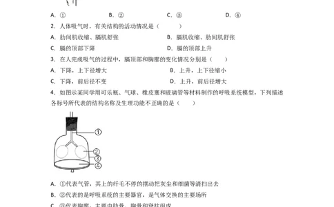 探究题03模拟呼吸运动中膈肌的变化-七年级生物下册教材实验探究必刷题（人教版）（原卷版）_初中全科电子版试卷练习试题_生物_生物人教版7下练习