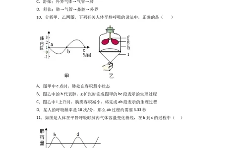 探究题03模拟呼吸运动中膈肌的变化-七年级生物下册教材实验探究必刷题（人教版）（原卷版）_初中全科电子版试卷练习试题_生物_生物人教版7下练习