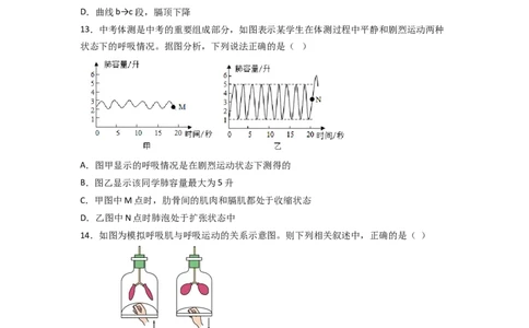 探究题03模拟呼吸运动中膈肌的变化-七年级生物下册教材实验探究必刷题（人教版）（原卷版）_初中全科电子版试卷练习试题_生物_生物人教版7下练习