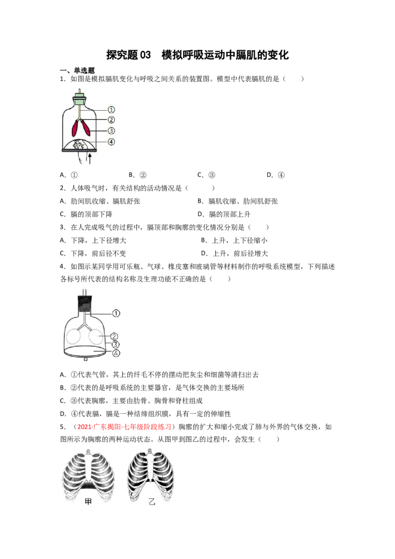 探究题03模拟呼吸运动中膈肌的变化-七年级生物下册教材实验探究必刷题（人教版）（原卷版）_初中全科电子版试卷练习试题_生物_生物人教版7下练习