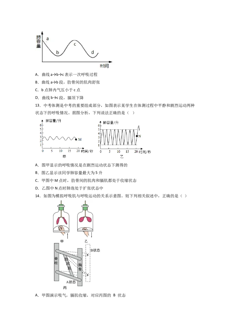探究题03模拟呼吸运动中膈肌的变化-七年级生物下册教材实验探究必刷题（人教版）（原卷版）_初中全科电子版试卷练习试题_生物_生物人教版7下练习