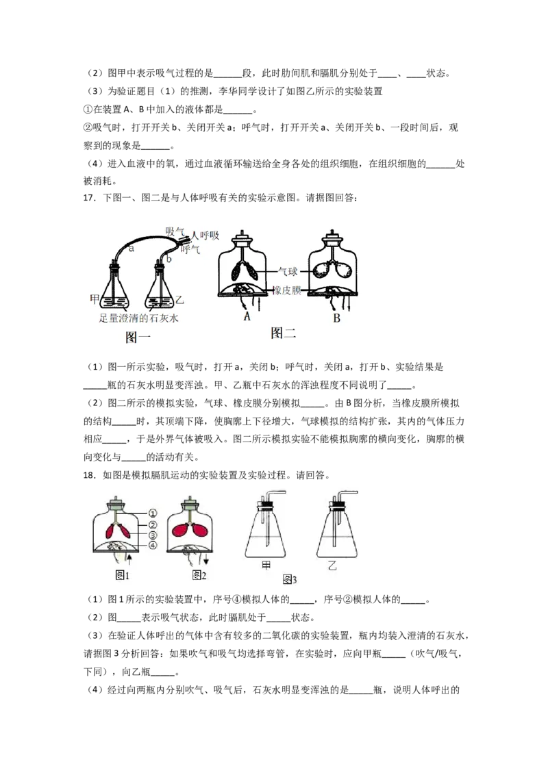 探究题03模拟呼吸运动中膈肌的变化-七年级生物下册教材实验探究必刷题（人教版）（原卷版）_初中全科电子版试卷练习试题_生物_生物人教版7下练习