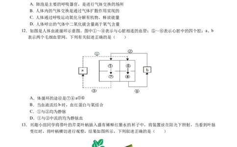 生物（哈尔滨卷）（考试版A4）_初中全科电子版试卷练习试题_生物_2024中考模拟题生物(1)_三模（37套）_生物（哈尔滨卷）