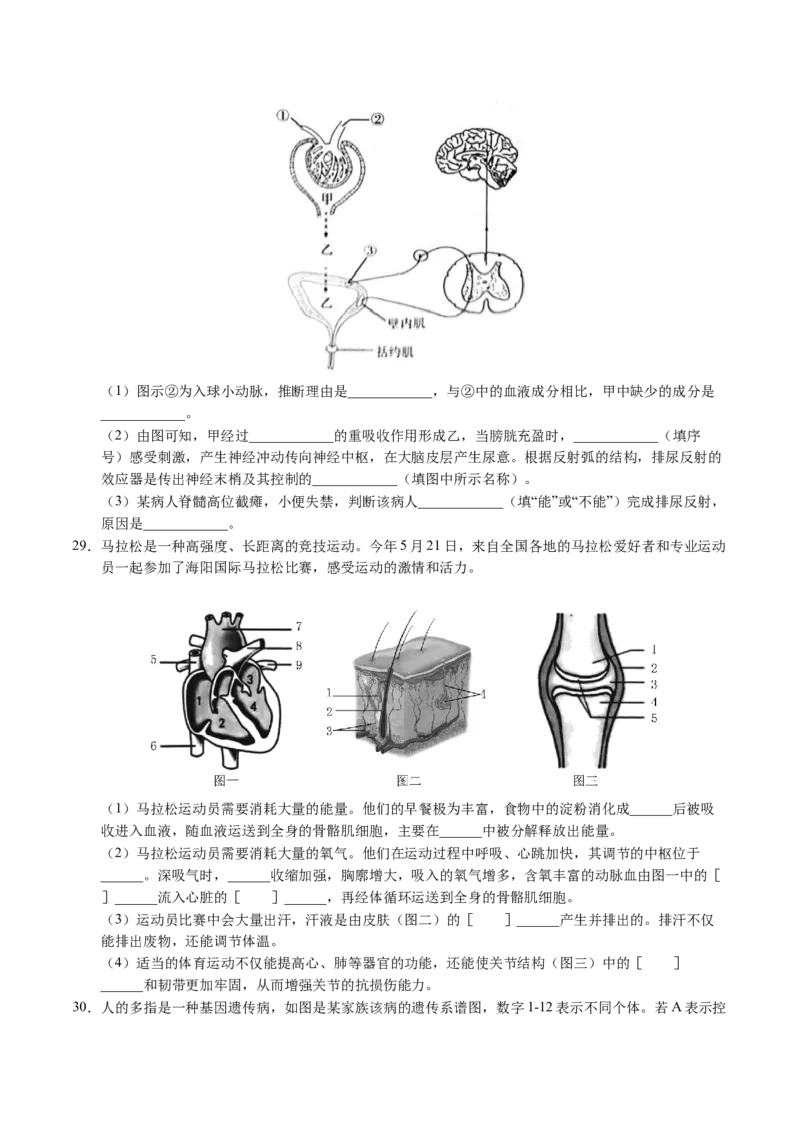 生物（哈尔滨卷）（考试版A4）_初中全科电子版试卷练习试题_生物_2024中考模拟题生物(1)_三模（37套）_生物（哈尔滨卷）