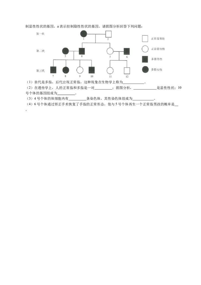 生物（哈尔滨卷）（考试版A4）_初中全科电子版试卷练习试题_生物_2024中考模拟题生物(1)_三模（37套）_生物（哈尔滨卷）