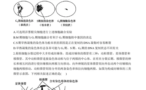 专题4细胞的生命历程（选择题）&mdash;&mdash;2025届高考生物学模块分练新高考版（含解析）_2025年新高考资料_二轮复习_新高考版2025届高考生物学模块分练选择题与非选择题（含解析）