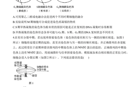 专题4细胞的生命历程（选择题）&mdash;&mdash;2025届高考生物学模块分练新高考版（含解析）_2025年新高考资料_二轮复习_新高考版2025届高考生物学模块分练选择题与非选择题（含解析）