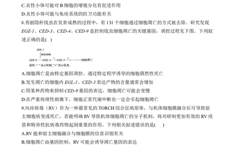 专题4细胞的生命历程（选择题）&mdash;&mdash;2025届高考生物学模块分练新高考版（含解析）_2025年新高考资料_二轮复习_新高考版2025届高考生物学模块分练选择题与非选择题（含解析）