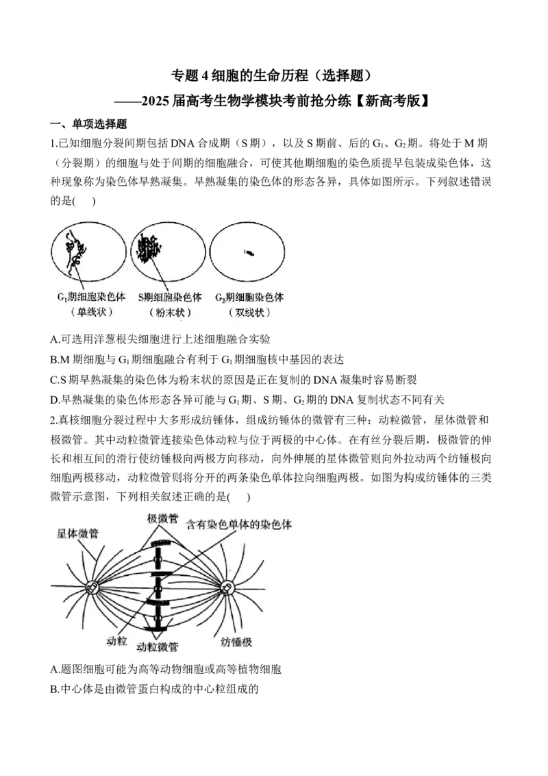 专题4细胞的生命历程（选择题）&mdash;&mdash;2025届高考生物学模块分练新高考版（含解析）_2025年新高考资料_二轮复习_新高考版2025届高考生物学模块分练选择题与非选择题（含解析）