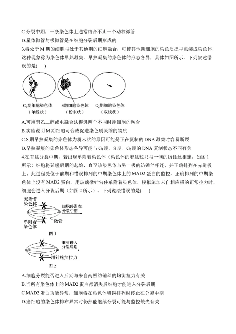 专题4细胞的生命历程（选择题）&mdash;&mdash;2025届高考生物学模块分练新高考版（含解析）_2025年新高考资料_二轮复习_新高考版2025届高考生物学模块分练选择题与非选择题（含解析）