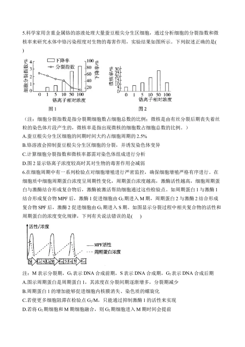 专题4细胞的生命历程（选择题）&mdash;&mdash;2025届高考生物学模块分练新高考版（含解析）_2025年新高考资料_二轮复习_新高考版2025届高考生物学模块分练选择题与非选择题（含解析）