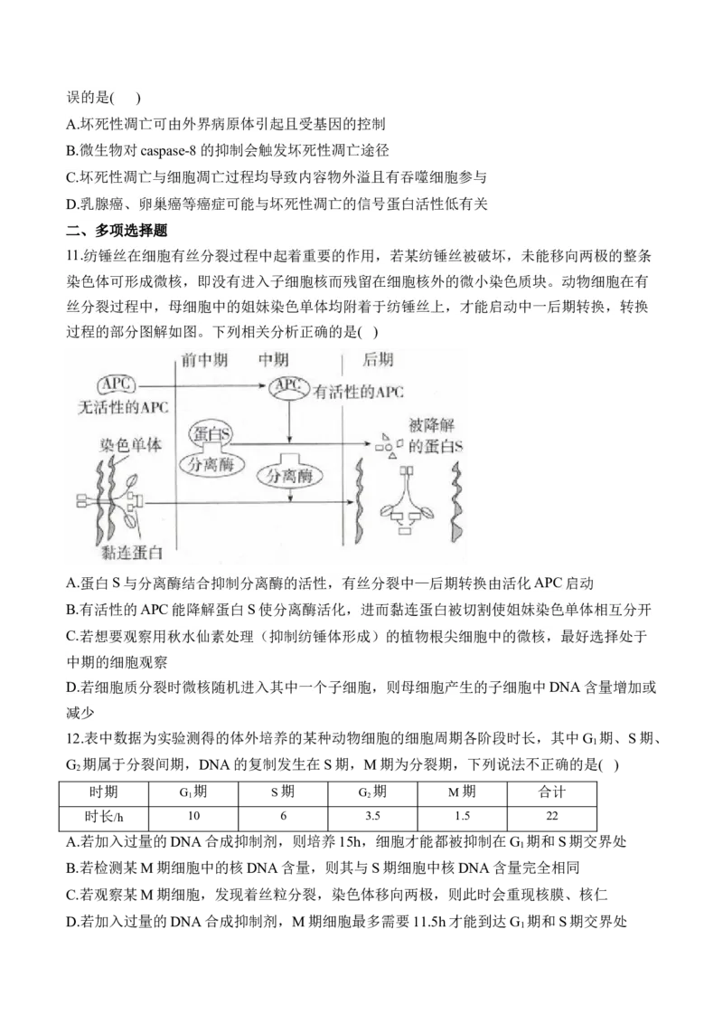 专题4细胞的生命历程（选择题）&mdash;&mdash;2025届高考生物学模块分练新高考版（含解析）_2025年新高考资料_二轮复习_新高考版2025届高考生物学模块分练选择题与非选择题（含解析）