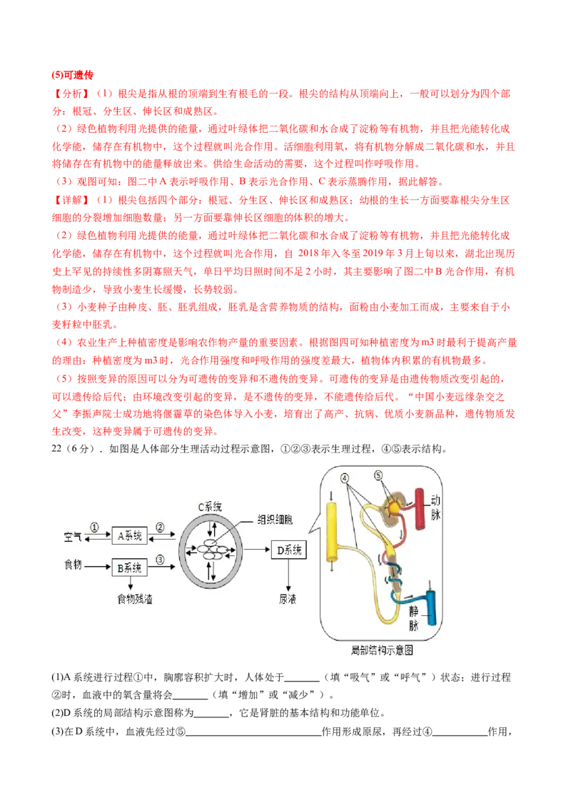 生物（河南卷）（全解全析）_初中全科电子版试卷练习试题_生物_2024中考模拟题生物(1)_三模（37套）_生物（河南卷）