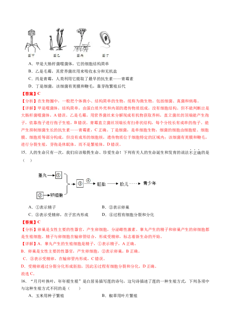 生物（河南卷）（全解全析）_初中全科电子版试卷练习试题_生物_2024中考模拟题生物(1)_三模（37套）_生物（河南卷）